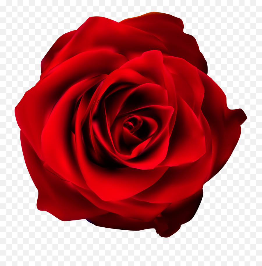 Red Rose Transparent Png Clip Art - Transparent Background Red Flower Png,Rose Transparent