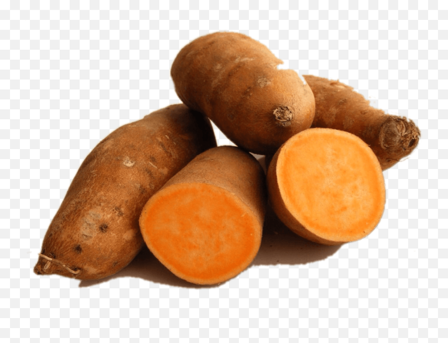 Sweet Potatoes U2013 Myth Trade - Does A Good Sweet Potato Look Like Png,Potato Transparent