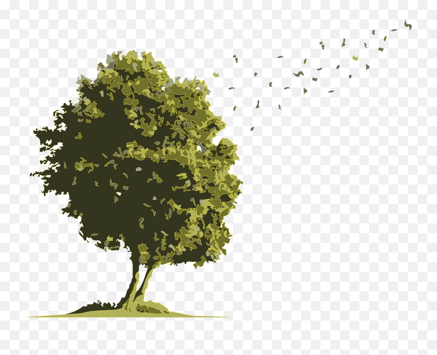 Oak Png Image - Arboles En Acuarela Png,Arbol Png