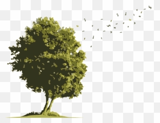 Oak Png Image - Arboles En Acuarela
