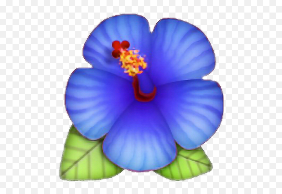Lotus Blue Rose Morelife Png Hibiscus - Emoji Flower Blue Png,Rose Emoji Png