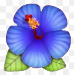 Lotus Blue Rose Morelife Png Hibiscus - Emoji Flower Blue Png,Rose Emoji Png