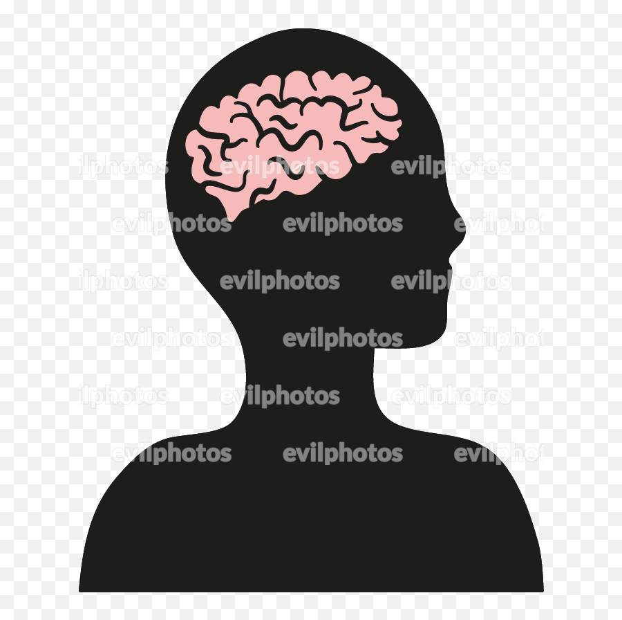 Brain Drawing - Illustration Png,Brain Vector Png