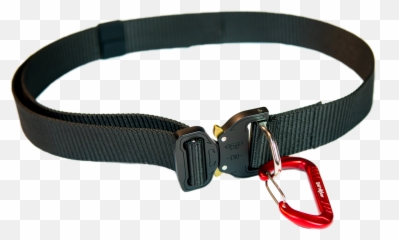 54 Waist Belt Wsmall Carabiner U2014 Towwhee - Bungee Tow Strap Bike Trailer And More Carabiner Belt Png,Leash Png