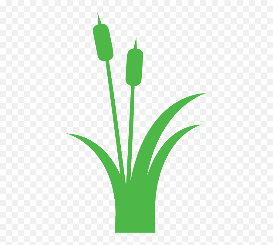 Cat Tails Png Files Clipart - Clip Art,Cat Tail Png