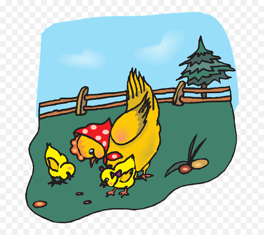 Chicken Clip Art Transparent - Chicken Clip Art Png,Chicken Clipart Png