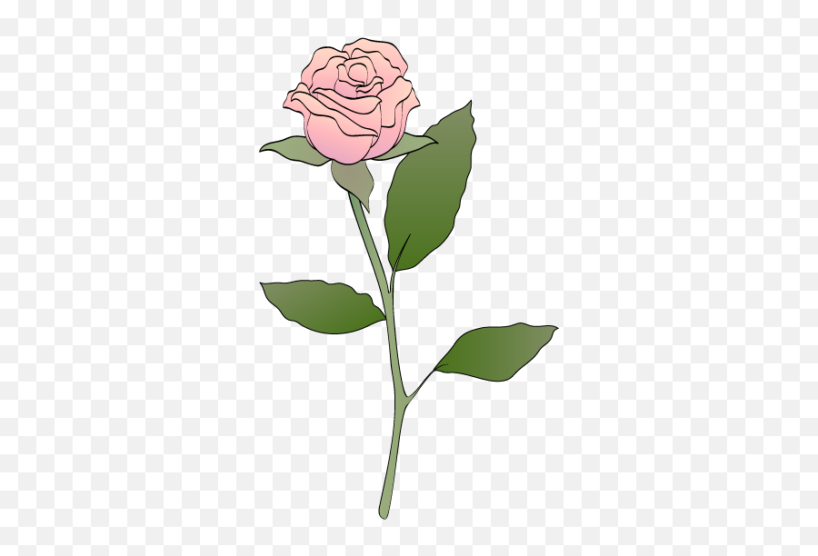 Download Roses The Pics Images Pink Rose Clipart Png Free - Pink Rose Clipart Png,Pink Roses Png