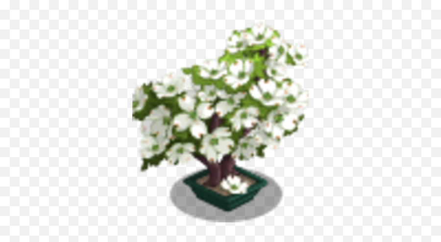 Dogwood Bonsai Tree Farmville Wiki Fandom - Artificial Flower Png,Dogwood Png