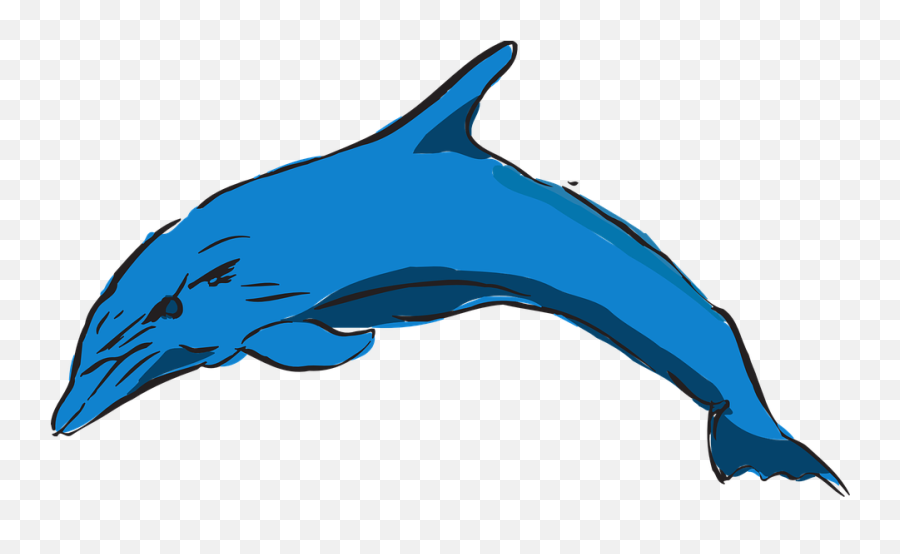 Dolphin Blue Ocean - Free Vector Graphic On Pixabay Clip Art Png,Dolphin Transparent