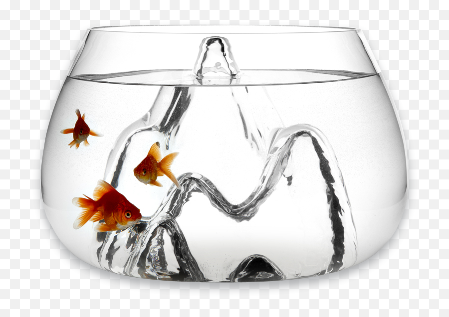 Fishscape Fishbowl By Aruliden For Gaia - Unique Fish Bowls Png,Fish Bowl Transparent Background