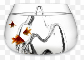 Fishscape Fishbowl By Aruliden For Gaia - Unique Bowls png