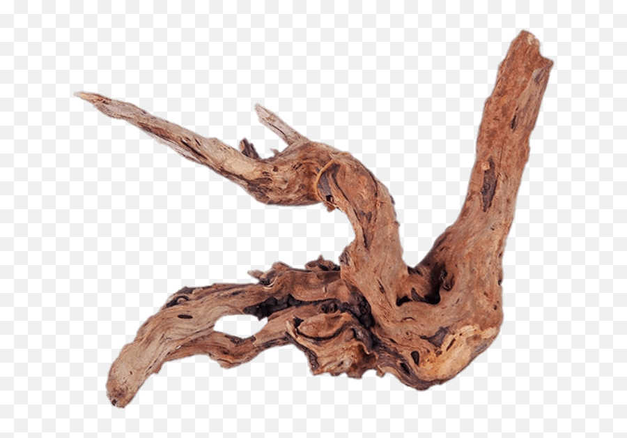 Driftwood Transparent Png - Driftwood Png,Driftwood Png