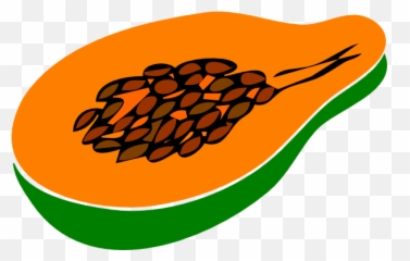Free Papaya Png Download Clip Art - Papaya Clip Art,Papaya Png