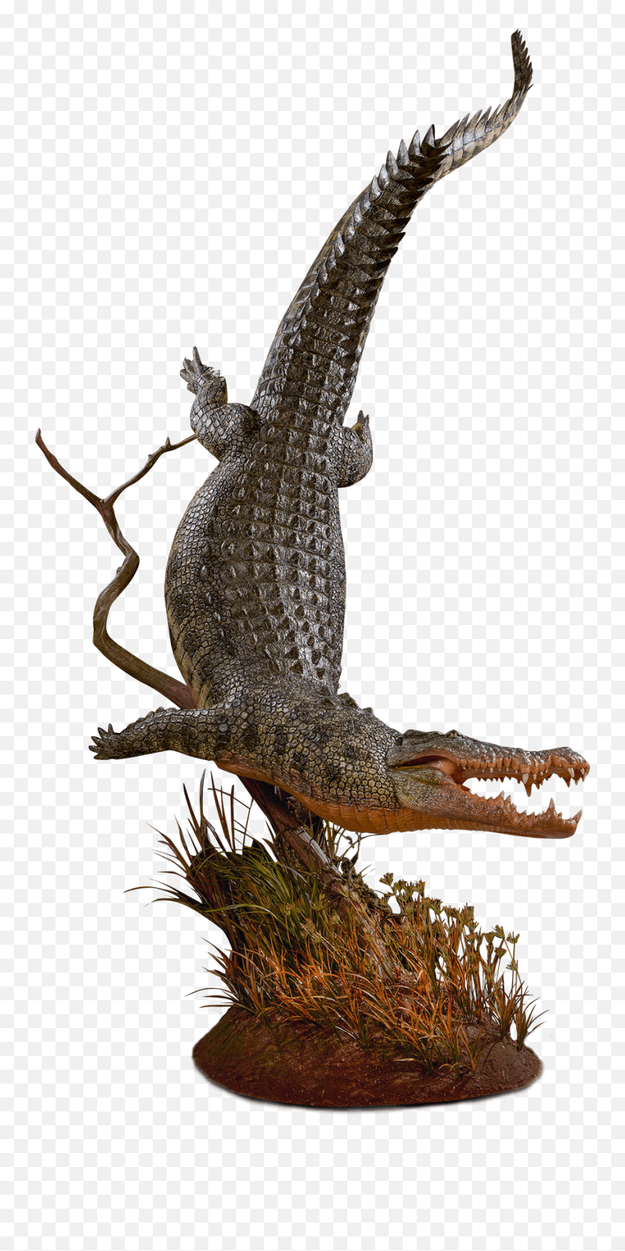 Our Work - Animal Figure Png,Crocodile Transparent