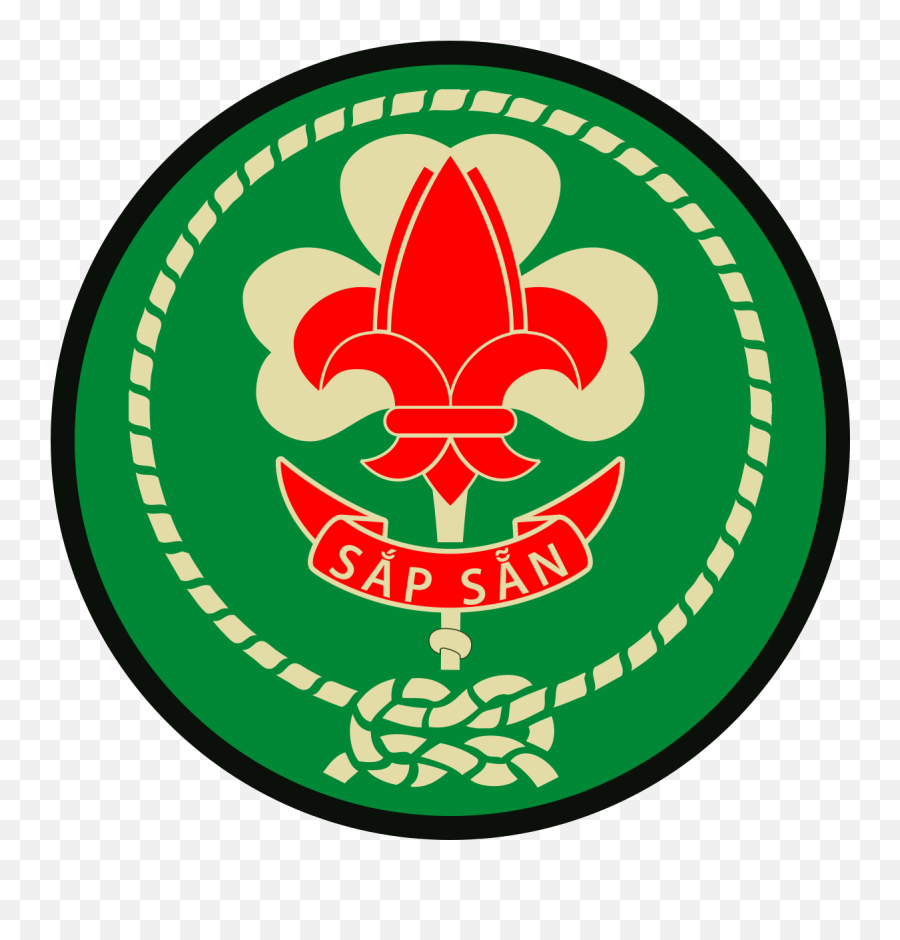 Vietnamese Scout Association - Vietnamese Scout Png,Boy Scout Logo Vector
