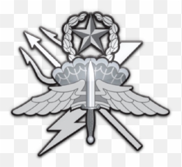 75th Regimental Recon Company - Regimental Reconnaissance Company Logo Png,75th Ranger Regiment Logo