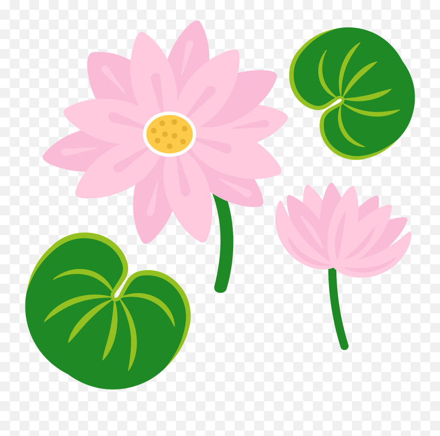 Lily Pad Clipart Free Download Creazilla Lily Pad Clipart Png Free Transparent Png Images Pngaaa Com