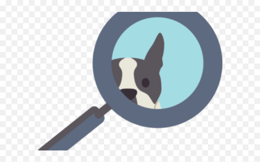 Download French Bulldog Clipart Boston - Dog Png,Boston Terrier Png
