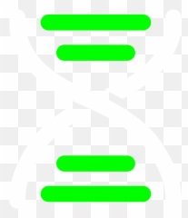 Nirvana Corporation - Language png