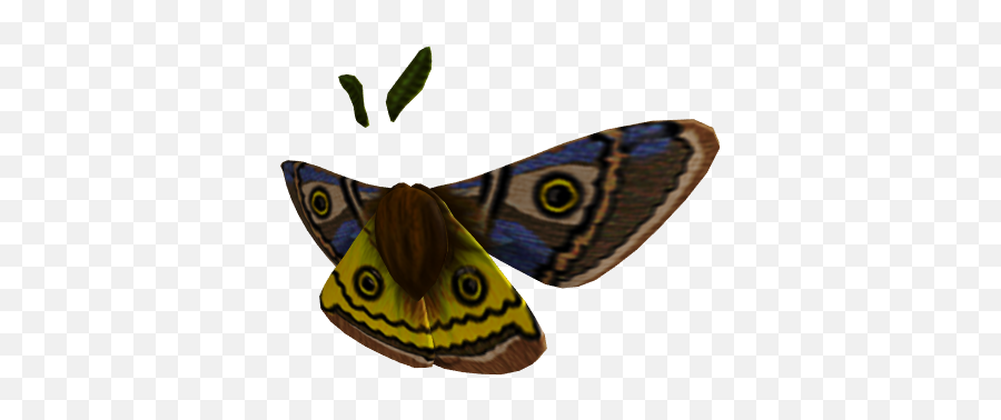 Glorious Moth Wings - Rbxleaks Common Buckeye Png,Mothra Png