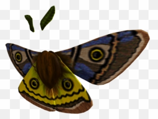 Glorious Moth Wings - Rbxleaks Common Buckeye Png,Mothra Png