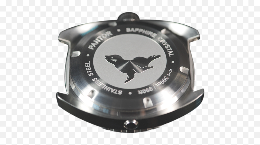 Pantor Sea Lion Green Pantorwatch - Solid Png,Sea Lion Icon