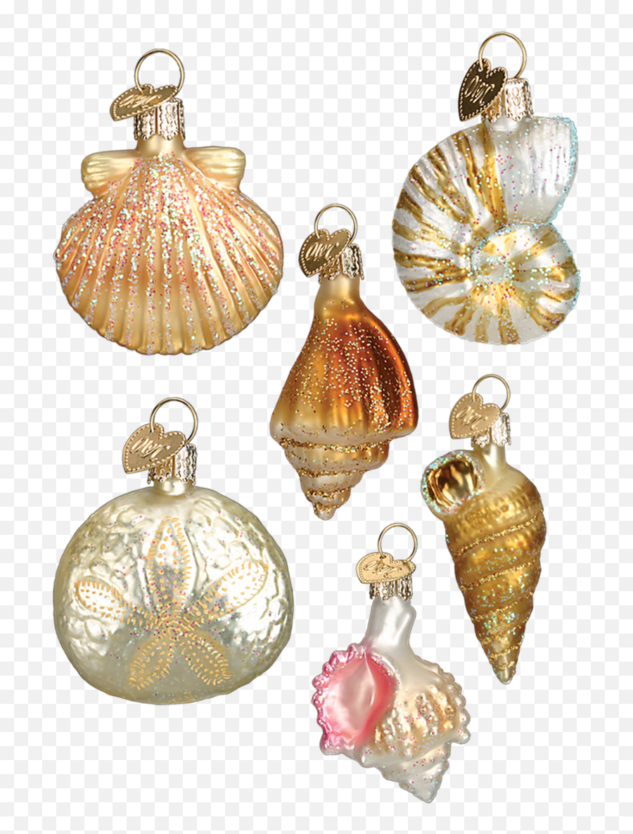 Mini Seashell Glass Ornaments 6 Pc Set Png Icon Frame 4 X 2 - 1/2