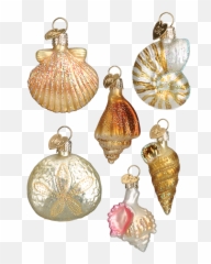 Mini Seashell Glass Ornaments 6 Pc Set Png