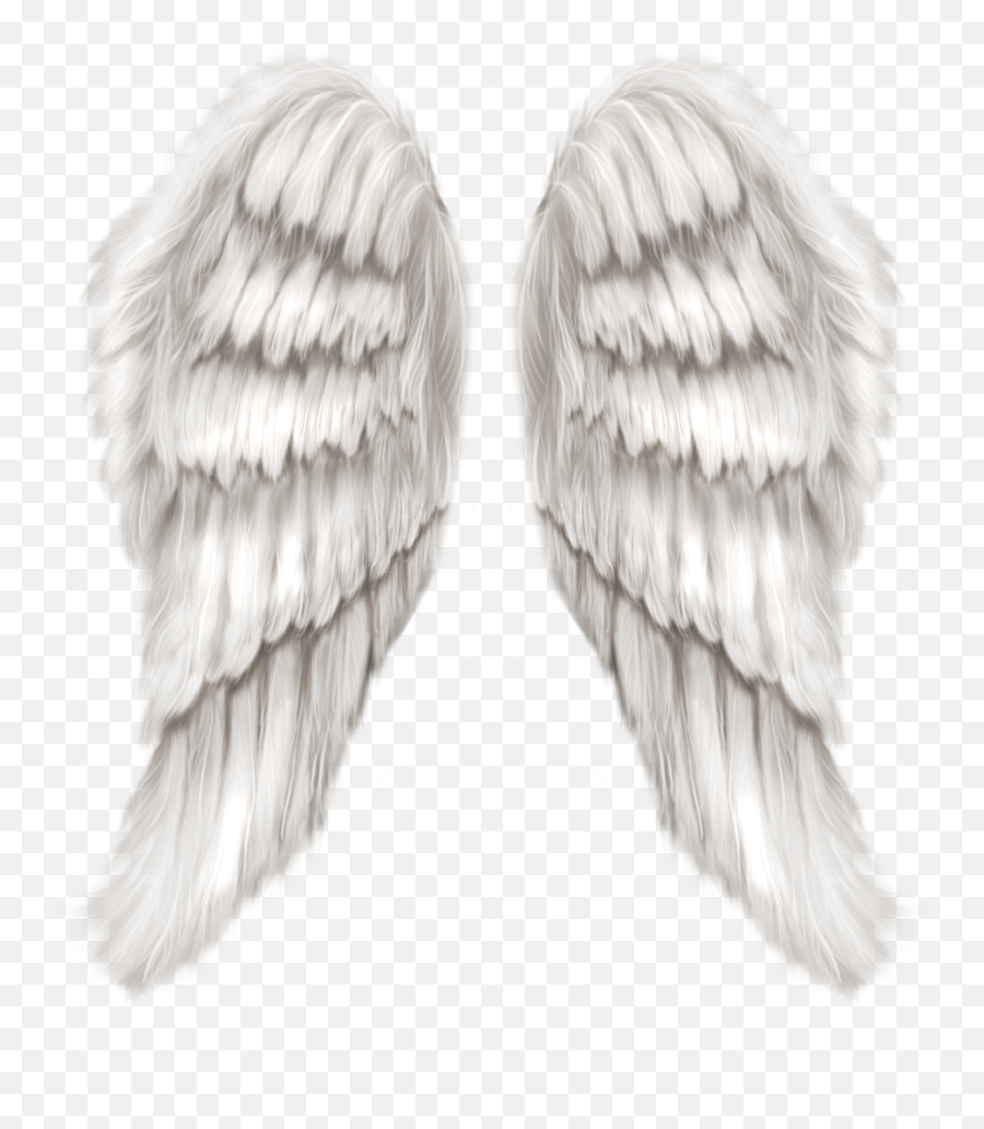 Transparent Background Angel Wings - Wings Angel Png,Angel Halo Transparent Background