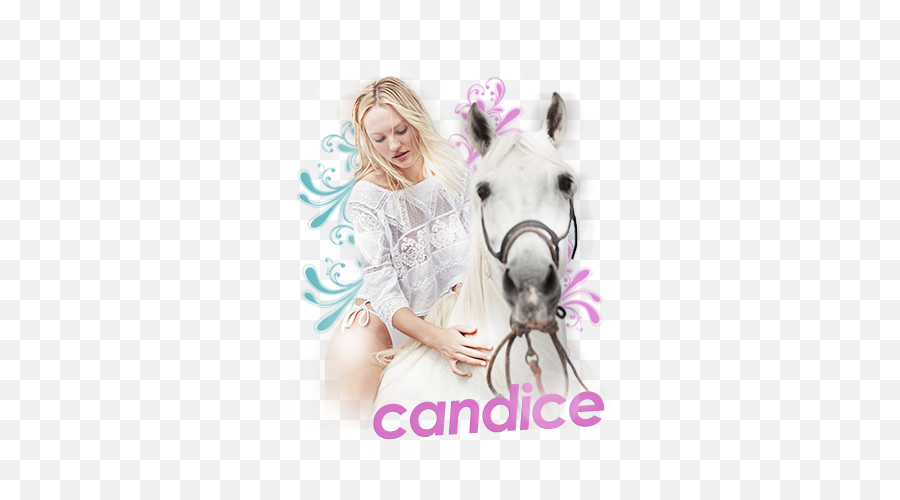 Png Pictures Feat Candice Swanepoel Andiegraphicyour - Bridle,Candice Swanepoel Png
