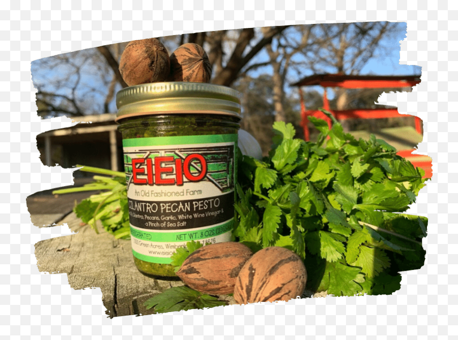 Cilantro Pecan Pesto Eieio Organic Farm - Paste Png,Cilantro Icon