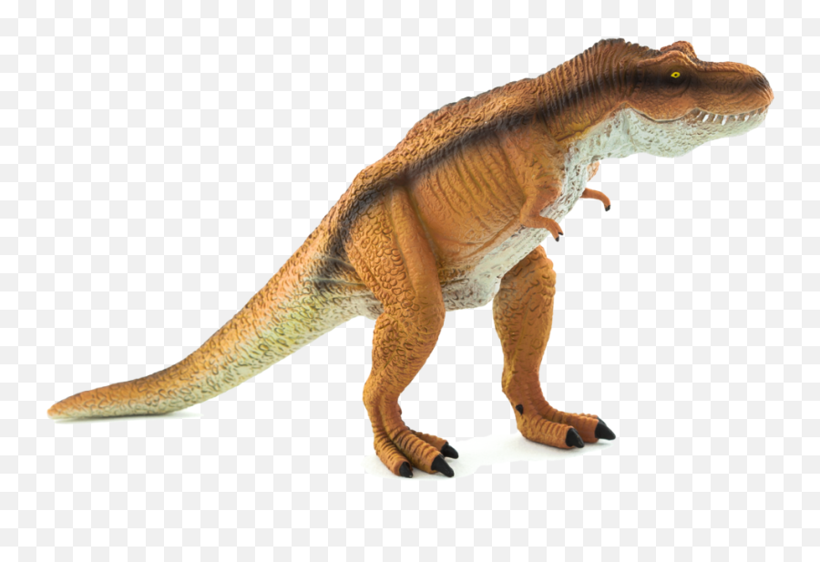 Tyrannosaurus Rex - New 2015 From Mojö U2014 Dejankins Png,Tyrannosaurus Rex Png