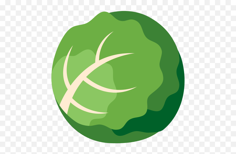 Cabbage Icon Myiconfinder - Cabbage Icon Png,Cabbage Png