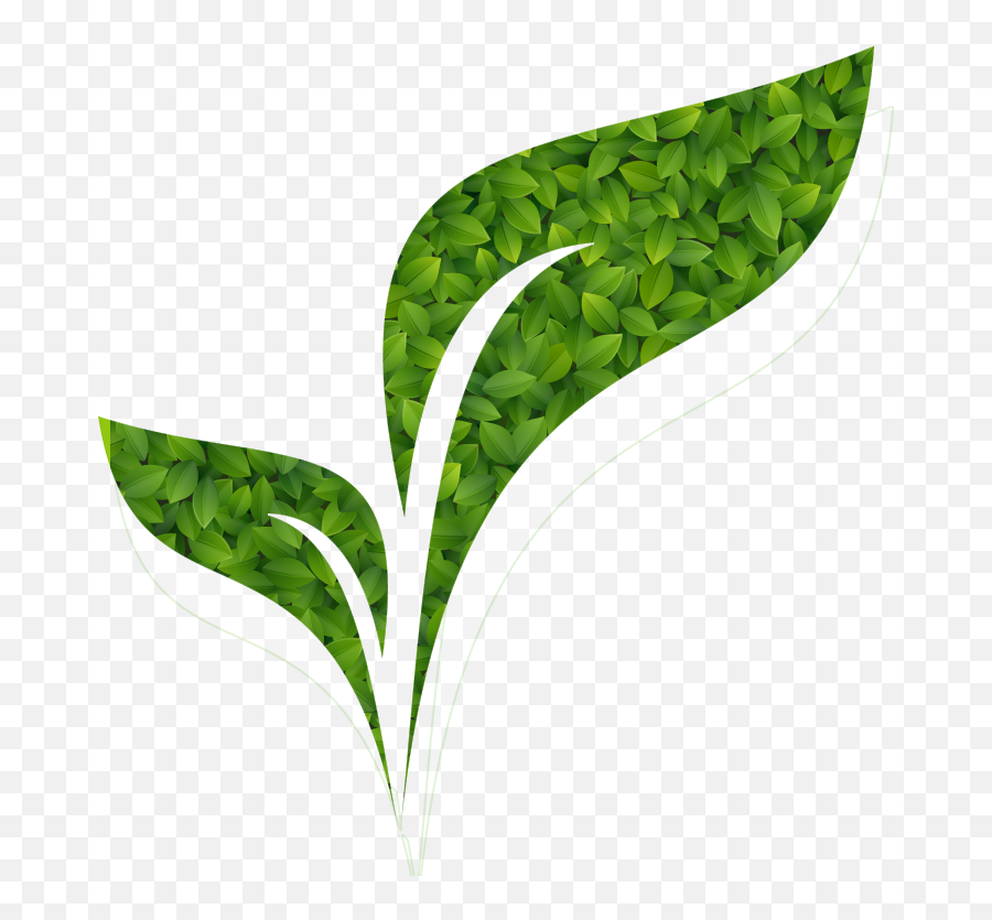 We - Agro Leaf Png,Green Banner Png