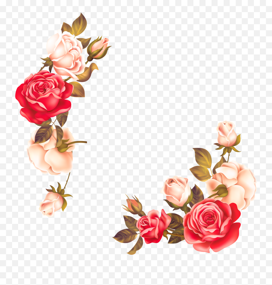 Rose Flower Border Clipart Png - Vector Flower Border Png,Rose Border Transparent