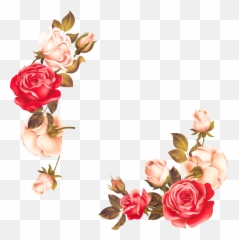 Rose Flower Border Clipart Png - Vector