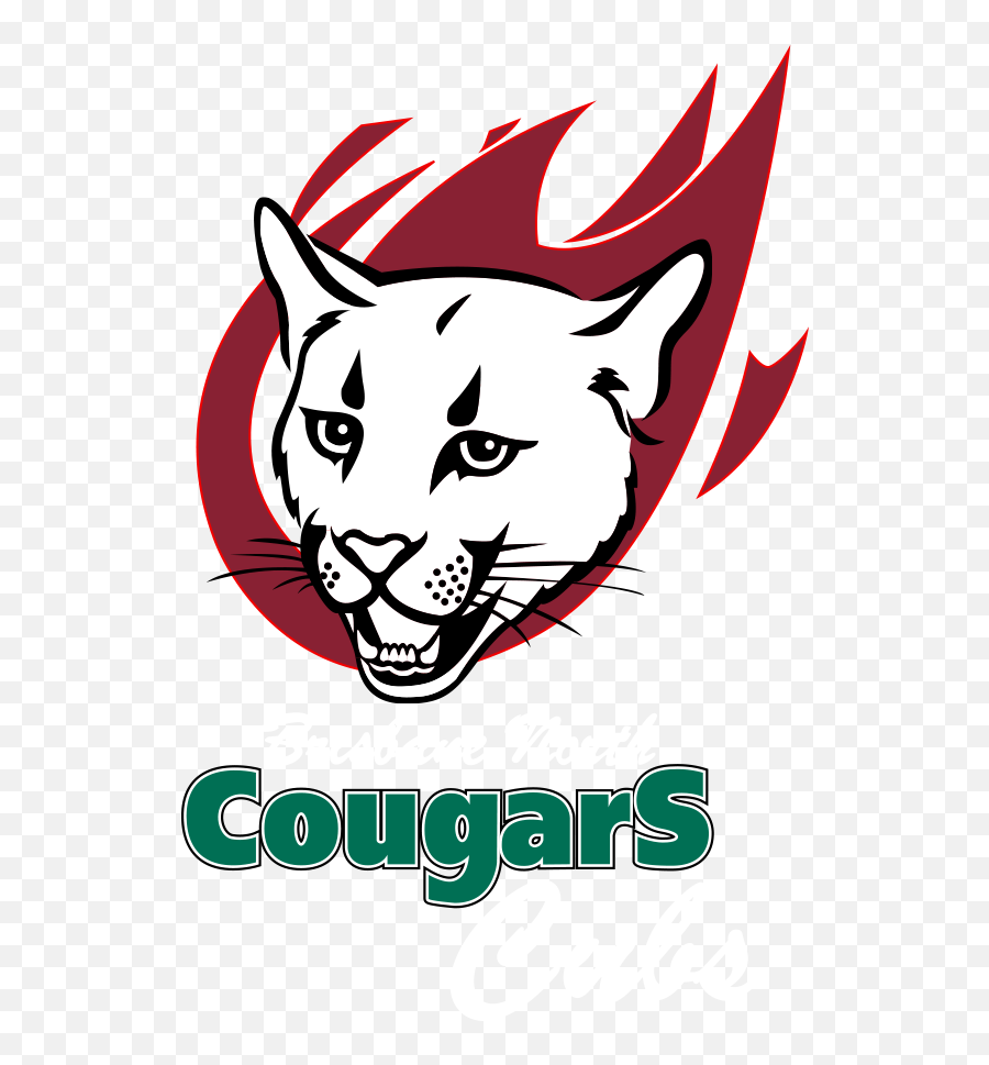 Download Hd Netball Development Cougar Cubs Transparent Png - Cougar Face Drawing,Cougar Png