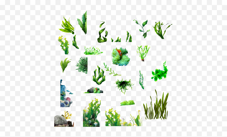 Seaweed Clipart Transparent Background - Seaweed Png,Seaweed Png