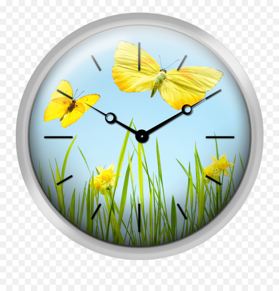 Xpress Clocks - Gallery Yellow Butterflies With Grass And Easter Clock Png,Yellow Butterfly Png
