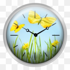 Xpress Clocks - Gallery Yellow Butterflies With Grass And Easter Clock Png,Yellow Butterfly Png