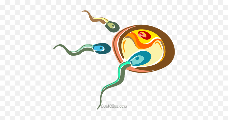 Sperm Vector Happy Transparent Png - Sperm And Egg Transparent,Sperm Png