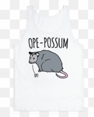 Ope - Possum Png,Opossum Png