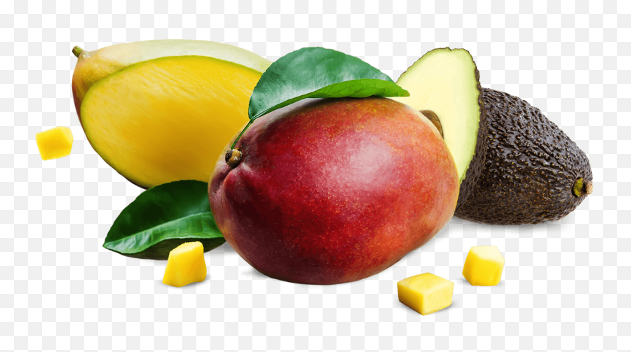 Download Our Products - Avocado Full Size Png Image Pngkit Dibujo Mango Y Aguacate,Avocado Png