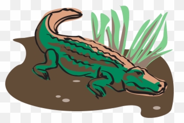 Svg Vector Crocodile Art Clip - Aligater Art Png,Crocodile Transparent