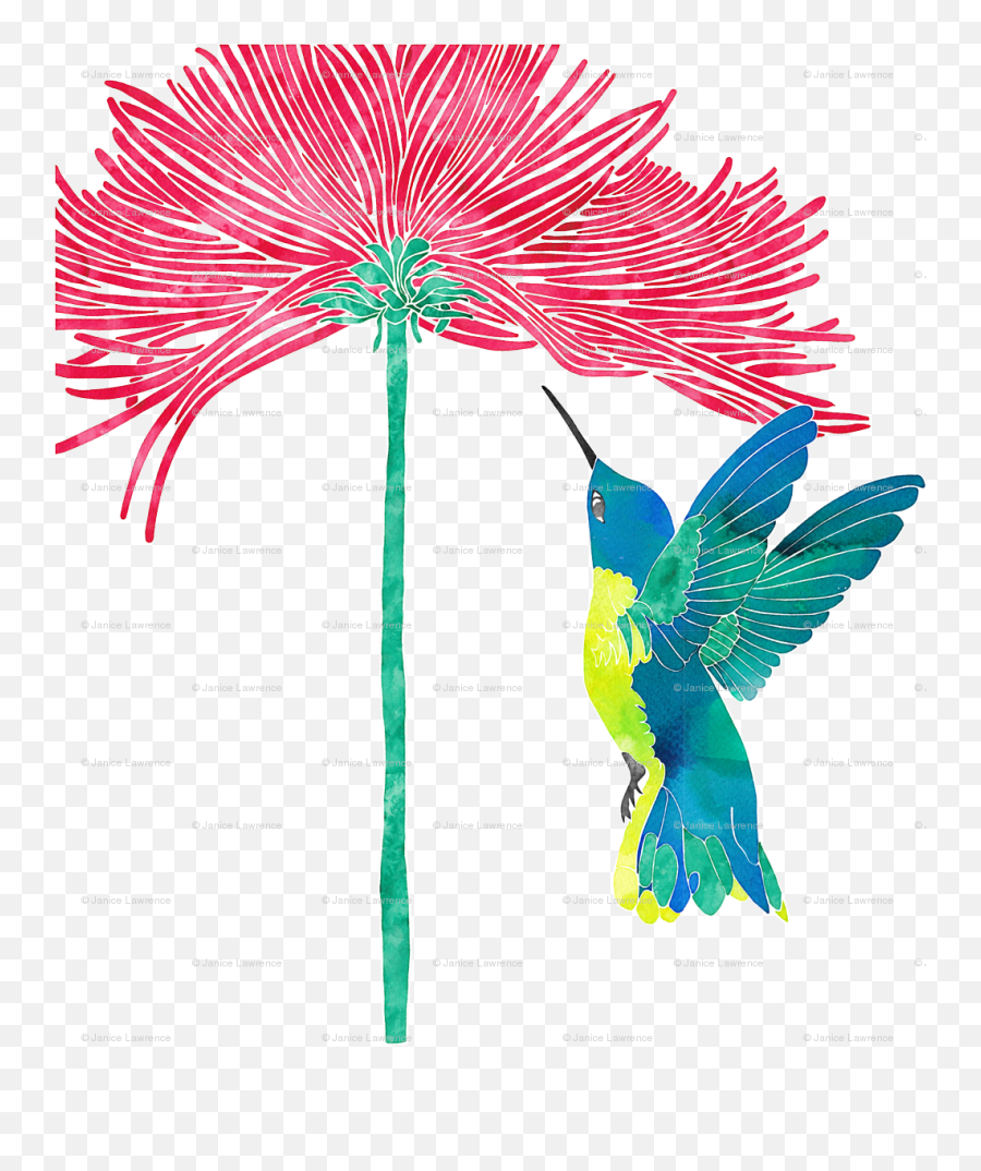 Download Hummingbird Png - Full Size Png Image Pngkit Floral Design,Hummingbird Png