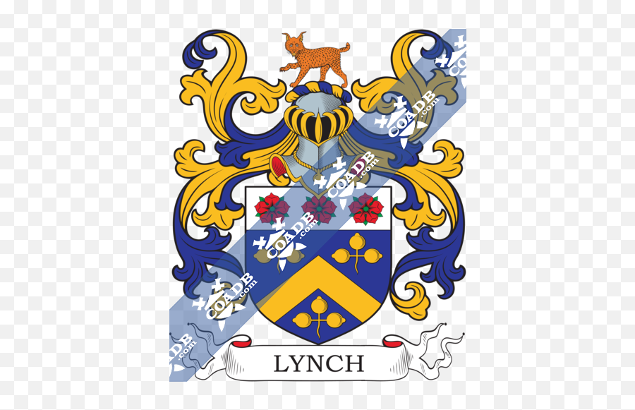 Lynch Family Crest Coat Of Arms And Name History - Noble Coat Of Arms Png,Coat Of Arms Template Png