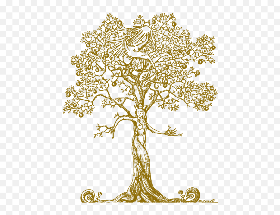 Google Image Result For Httprisingtideartscomwp - Content Artistic Png,Tree Root Png