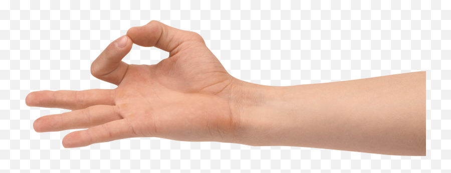 Hands Transparent Png File - Human Arms Transparent Background,Hand Transparent Png