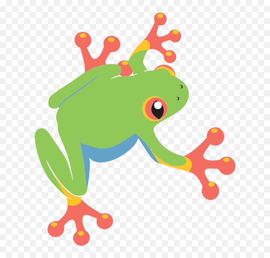 Tree Frog - The 1 Organic Instagram Growth Service Cartoon Clipart Tree Frog Png,Frog Icon Png