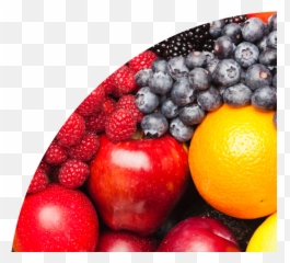A Detailed Guide To Using Myplate Plus - Frutas Chilenas De Exportacion Png,My Plate Replaced The Food Pyramid As The New Icon
